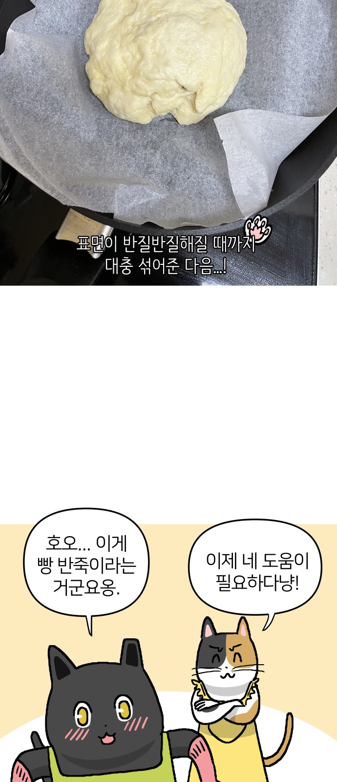 19 페이지