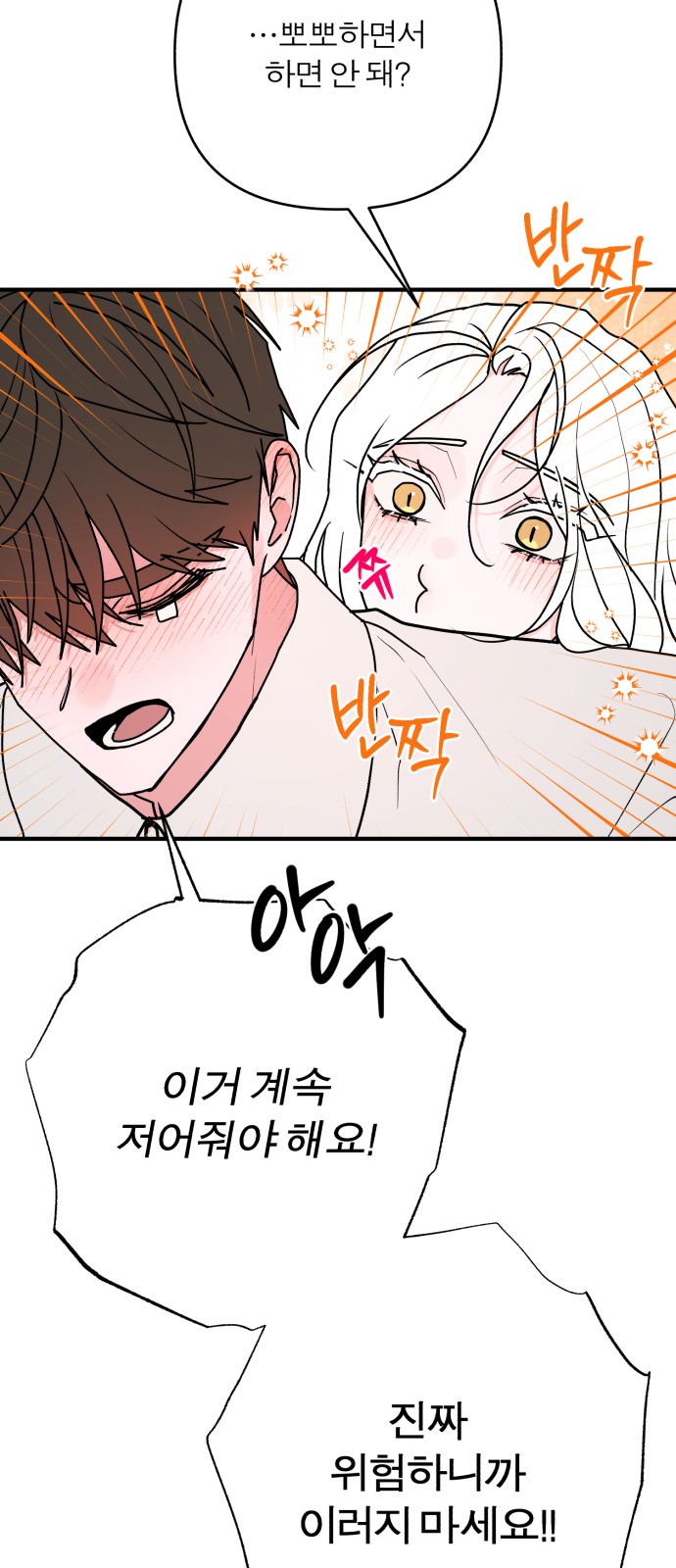 66 페이지