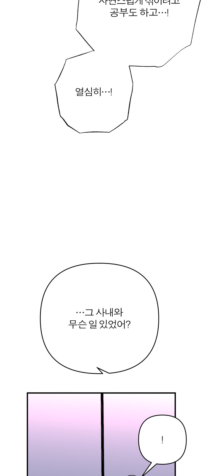 137 페이지