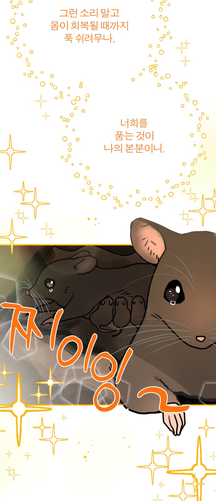 104 페이지