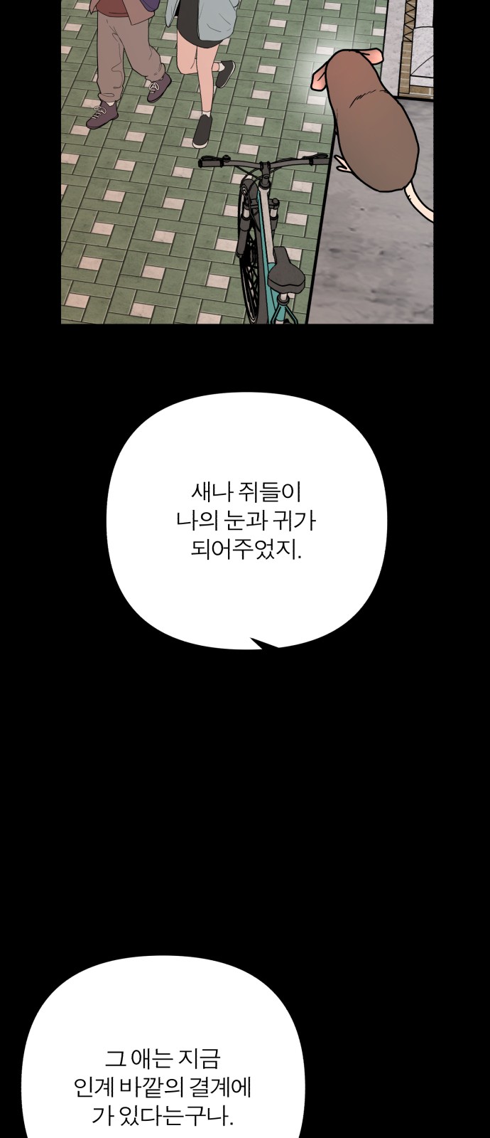 114 페이지