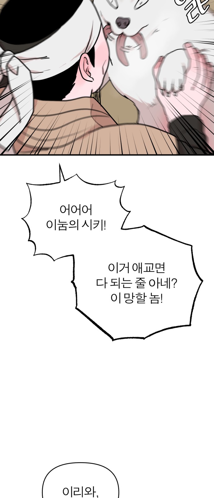 43 페이지