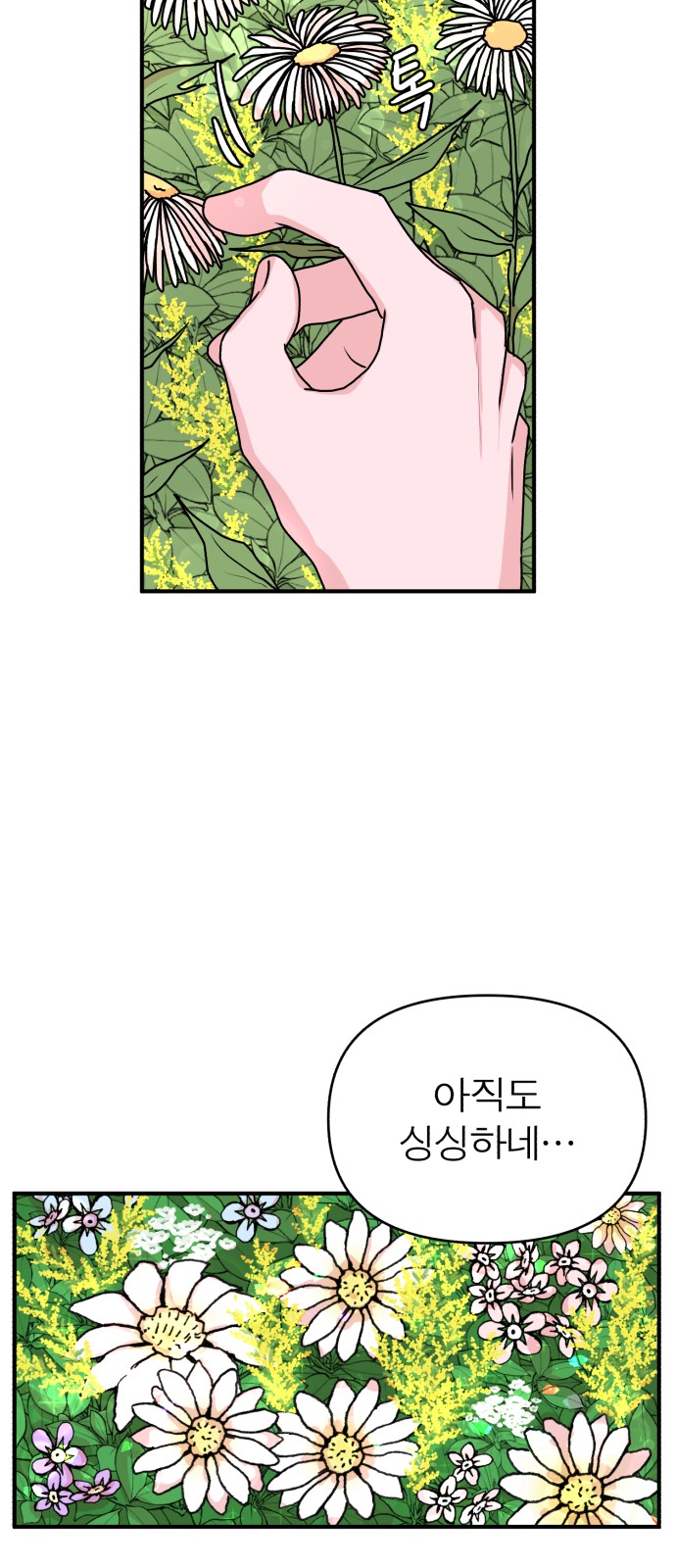 77 페이지