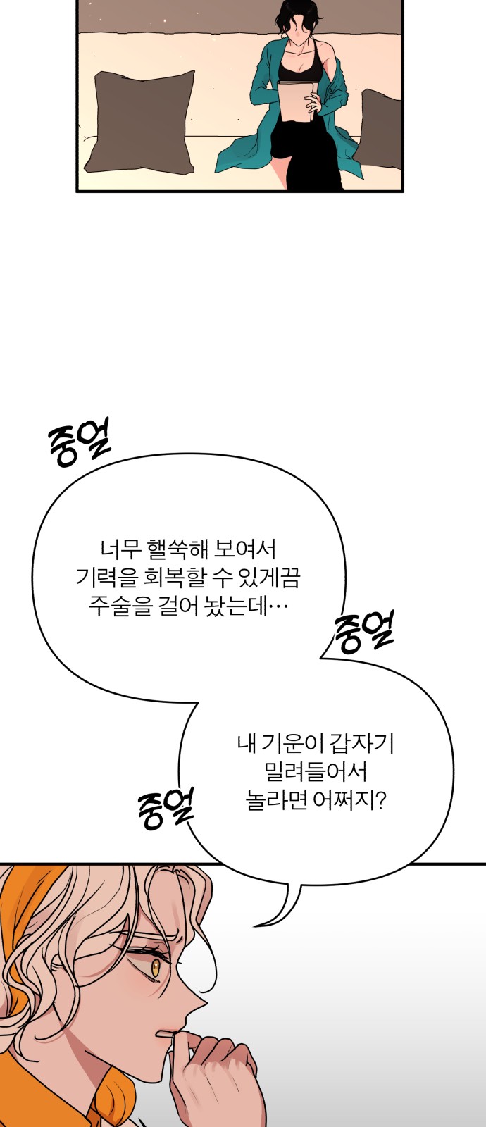 53 페이지