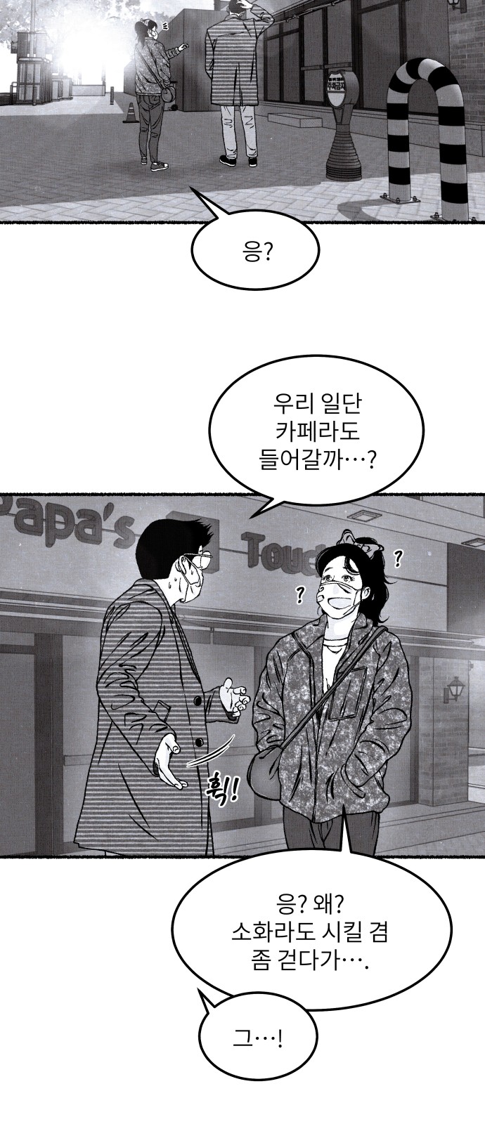 66 페이지