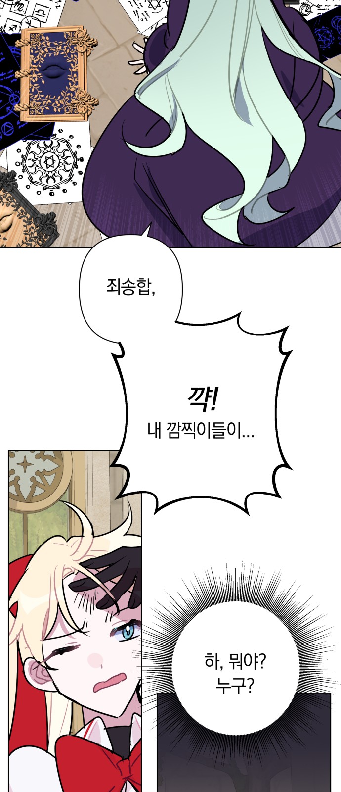 51 페이지