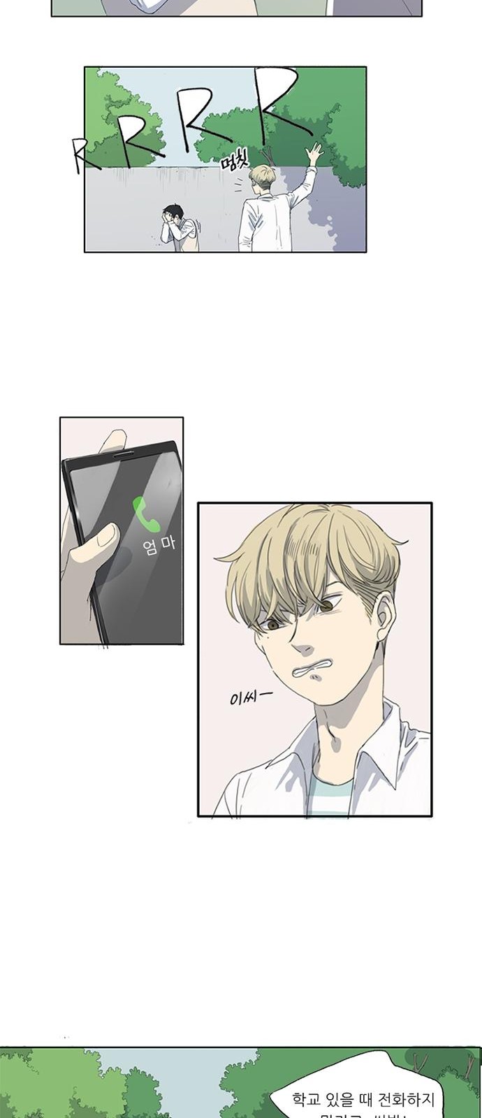 20 페이지