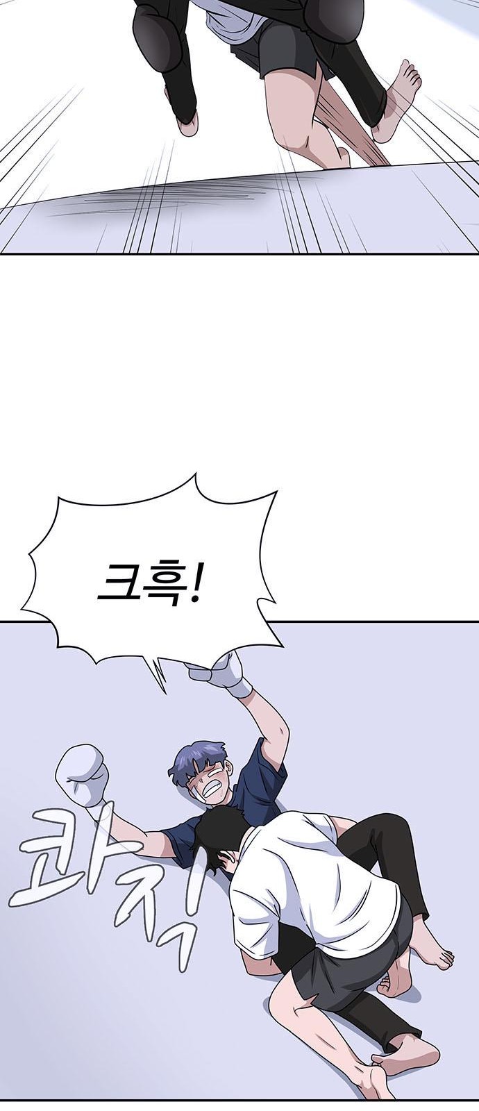 46 페이지