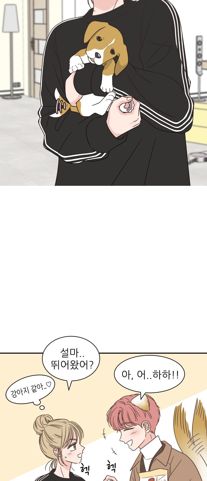 17 페이지