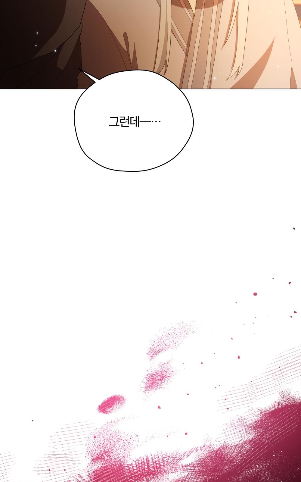 113 페이지