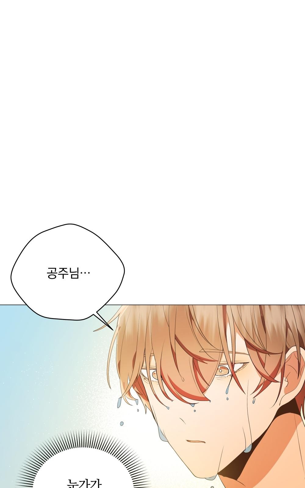 106 페이지