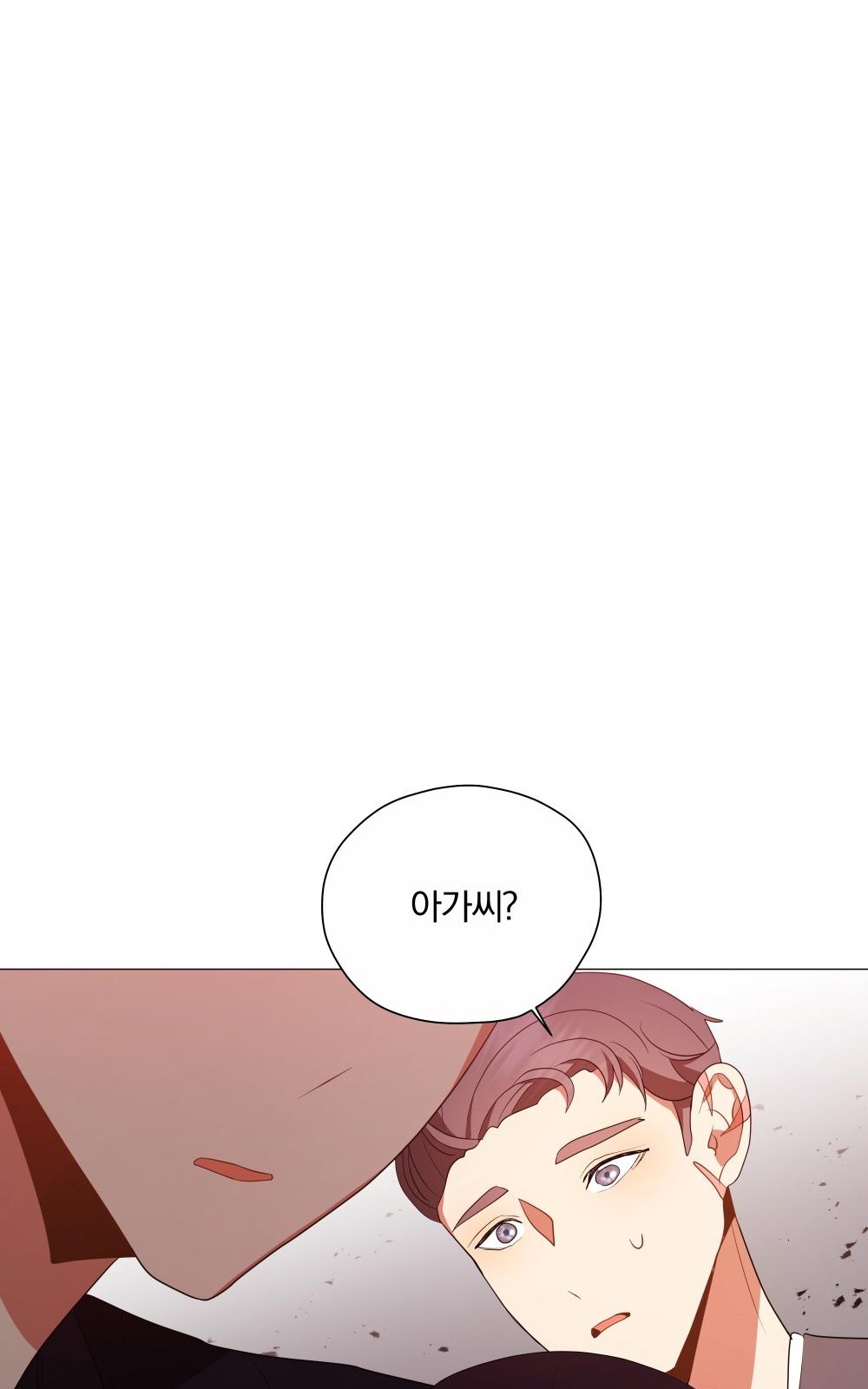 95 페이지
