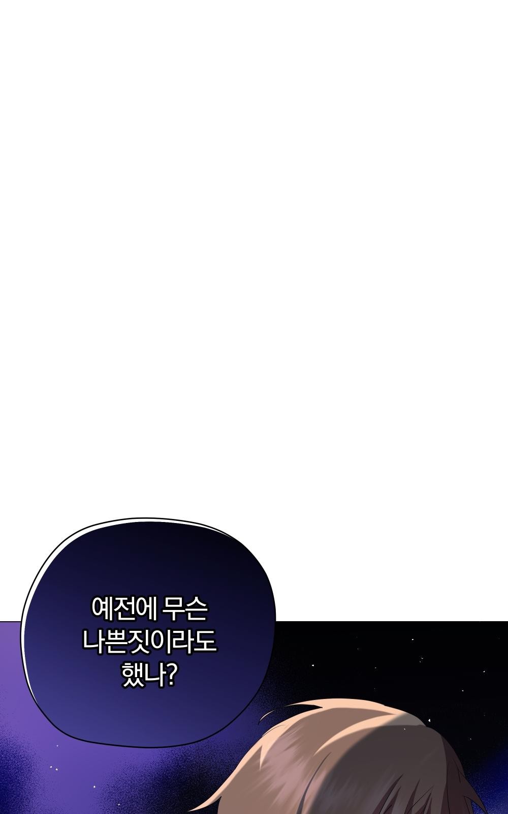 113 페이지