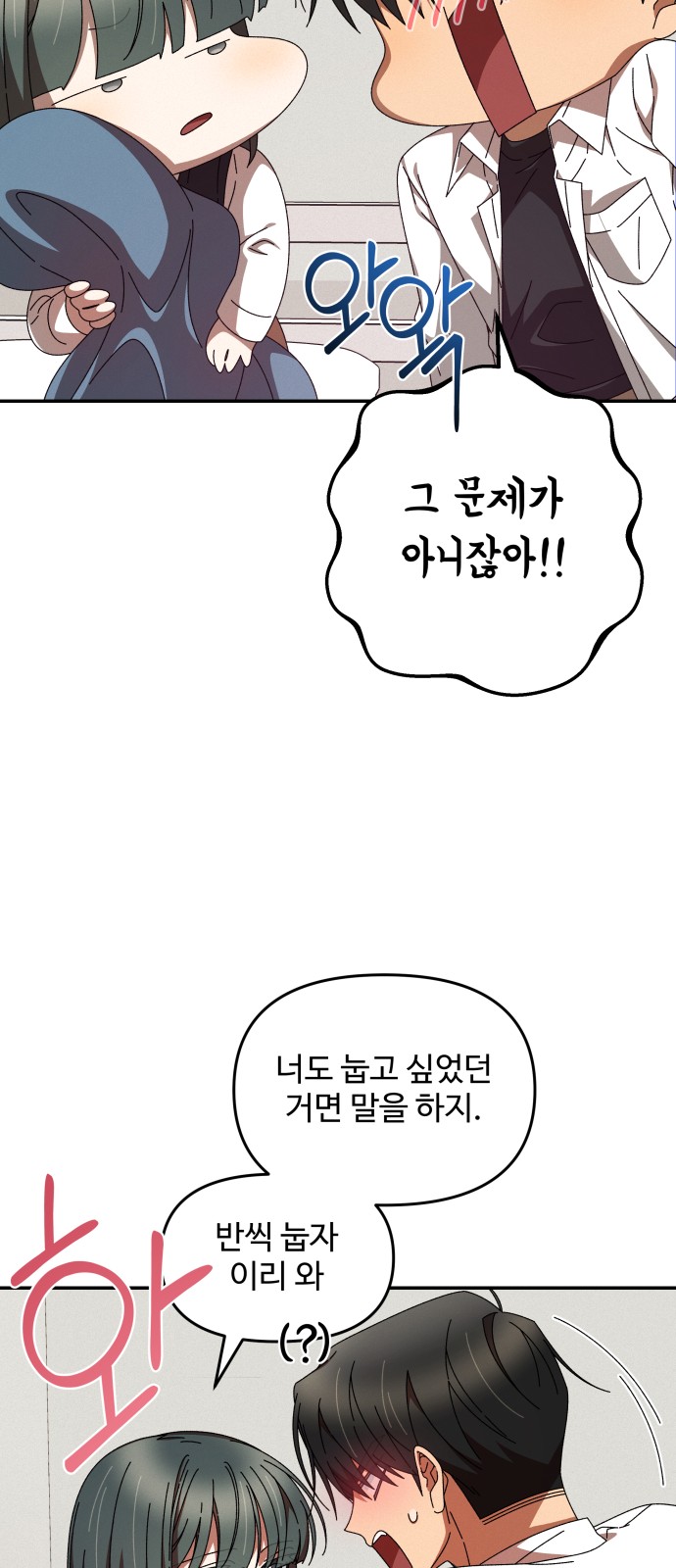 51 페이지