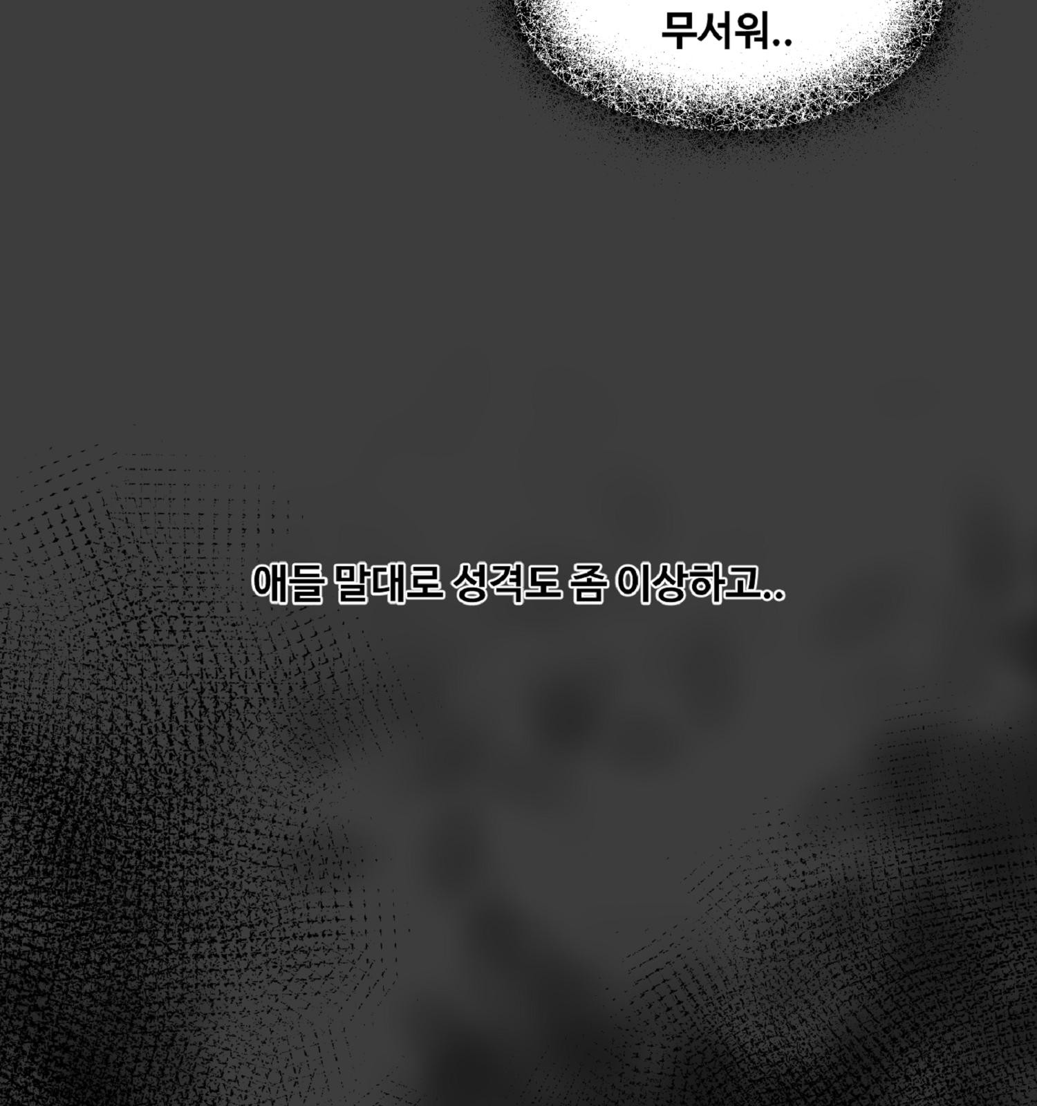 155 페이지
