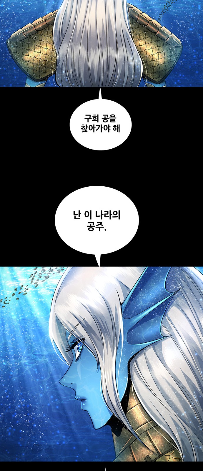 45 페이지