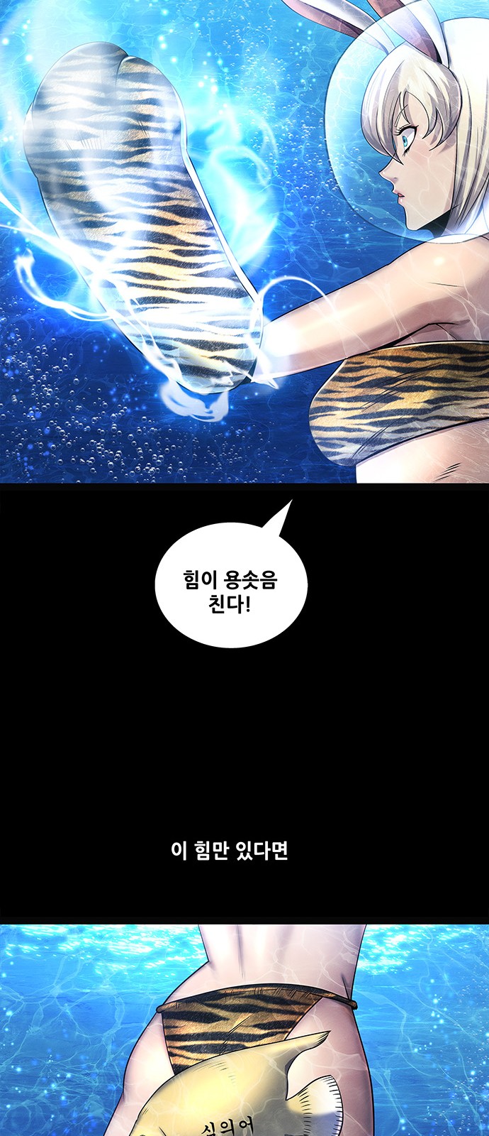 46 페이지