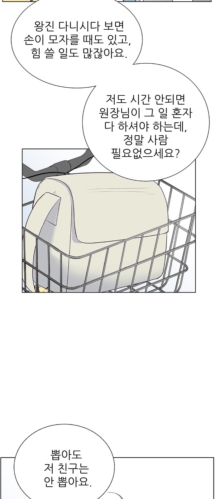 17 페이지