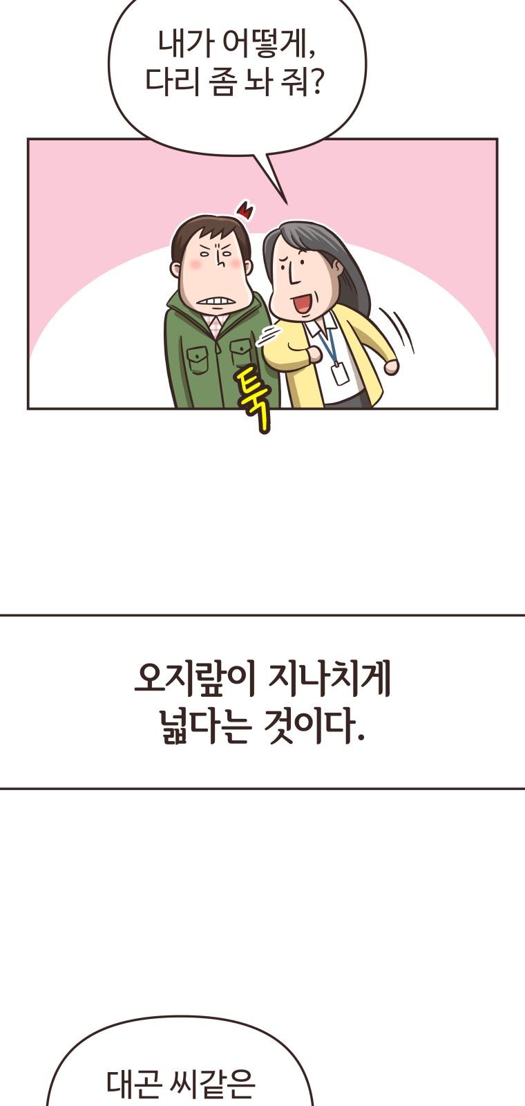 48 페이지
