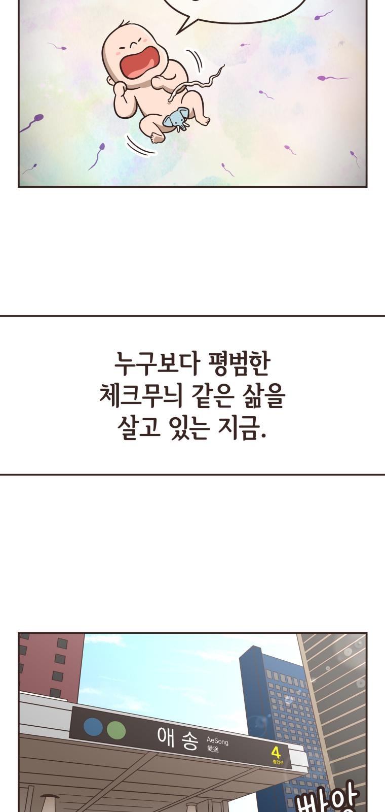 17 페이지