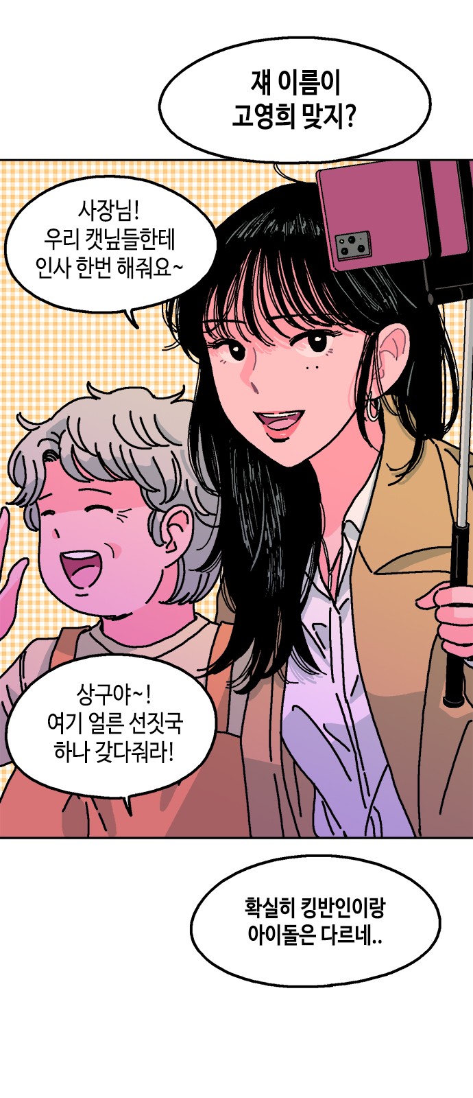 46 페이지