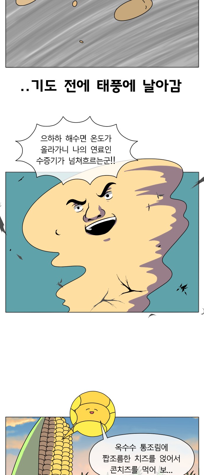 16 페이지