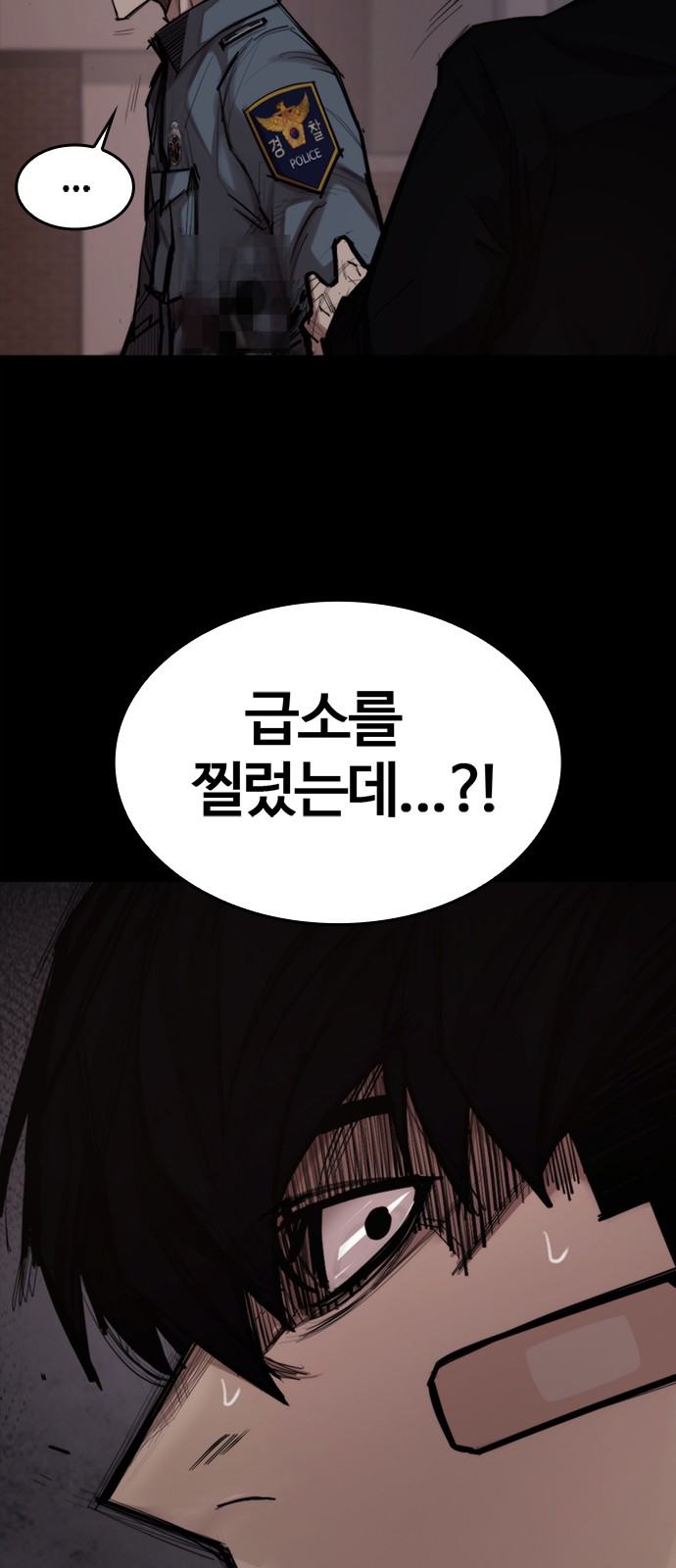 13 페이지