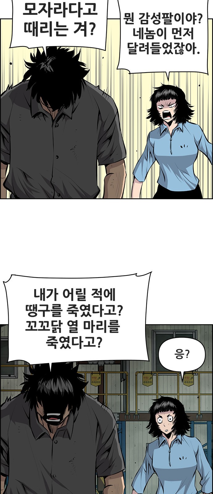 36 페이지