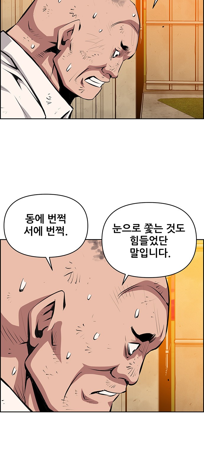 5 페이지