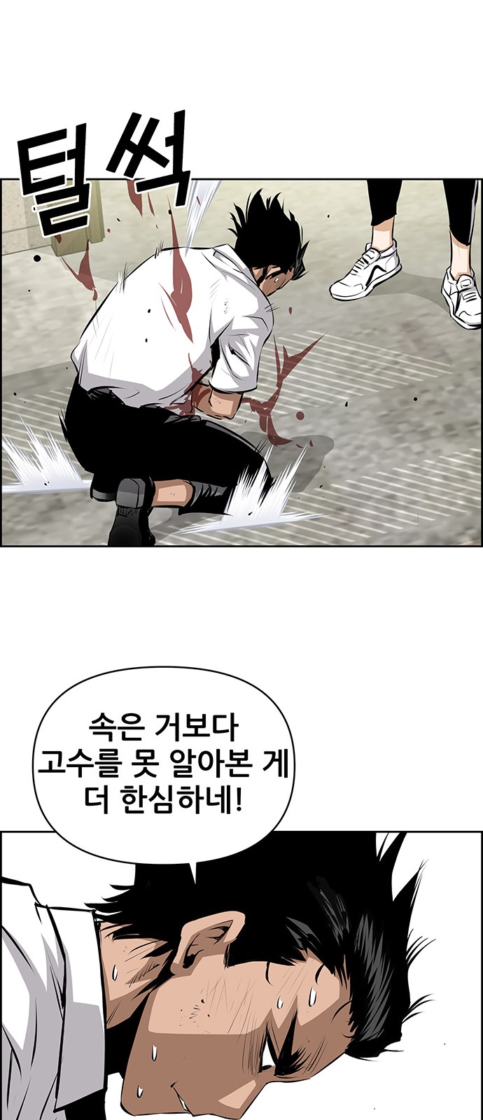 48 페이지