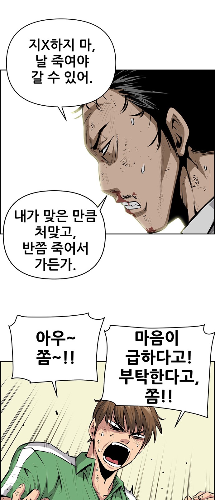 20 페이지