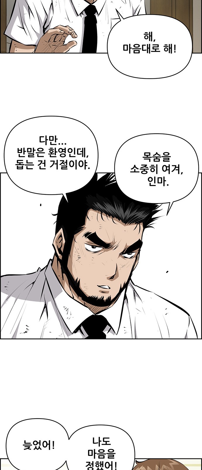 46 페이지