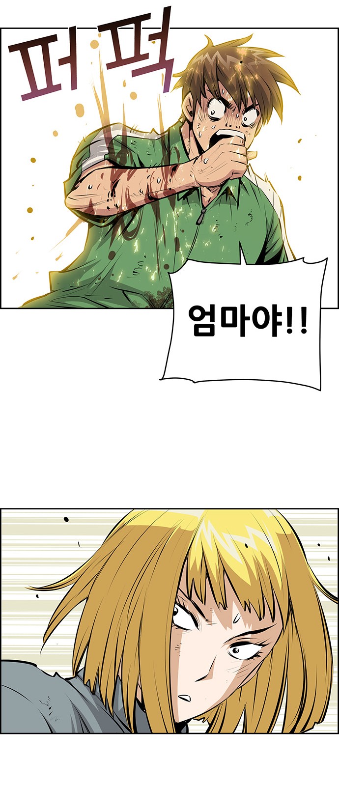 48 페이지