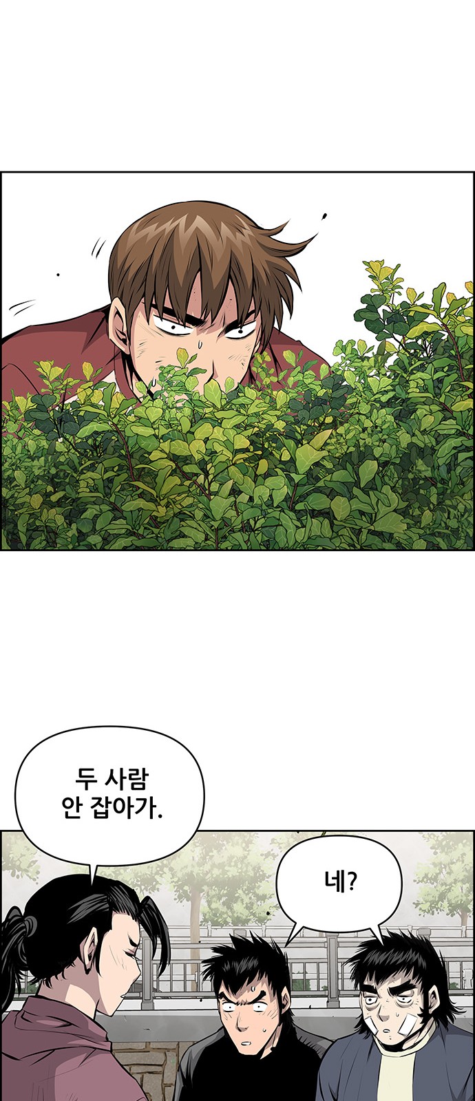 42 페이지