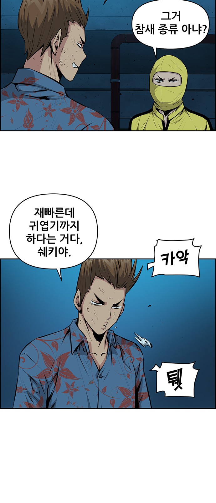 40 페이지