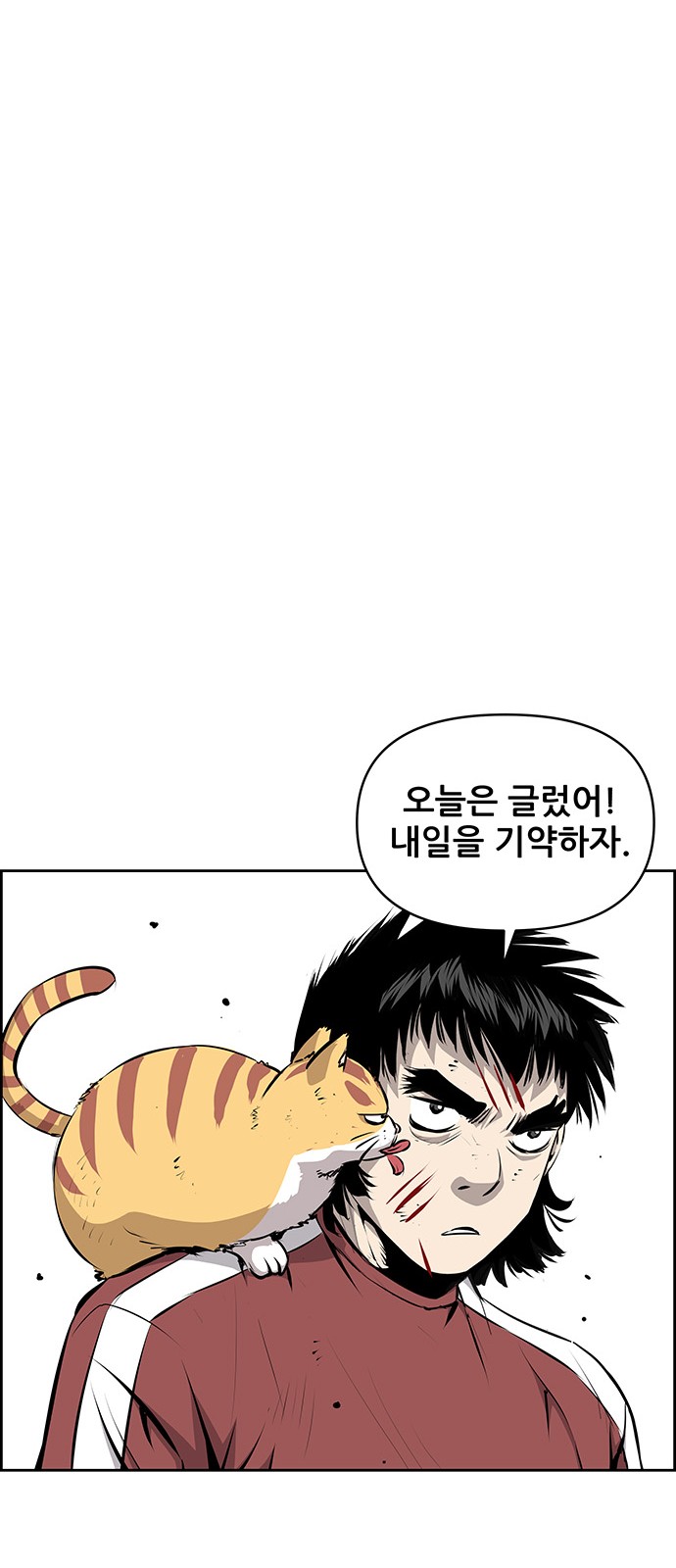 46 페이지