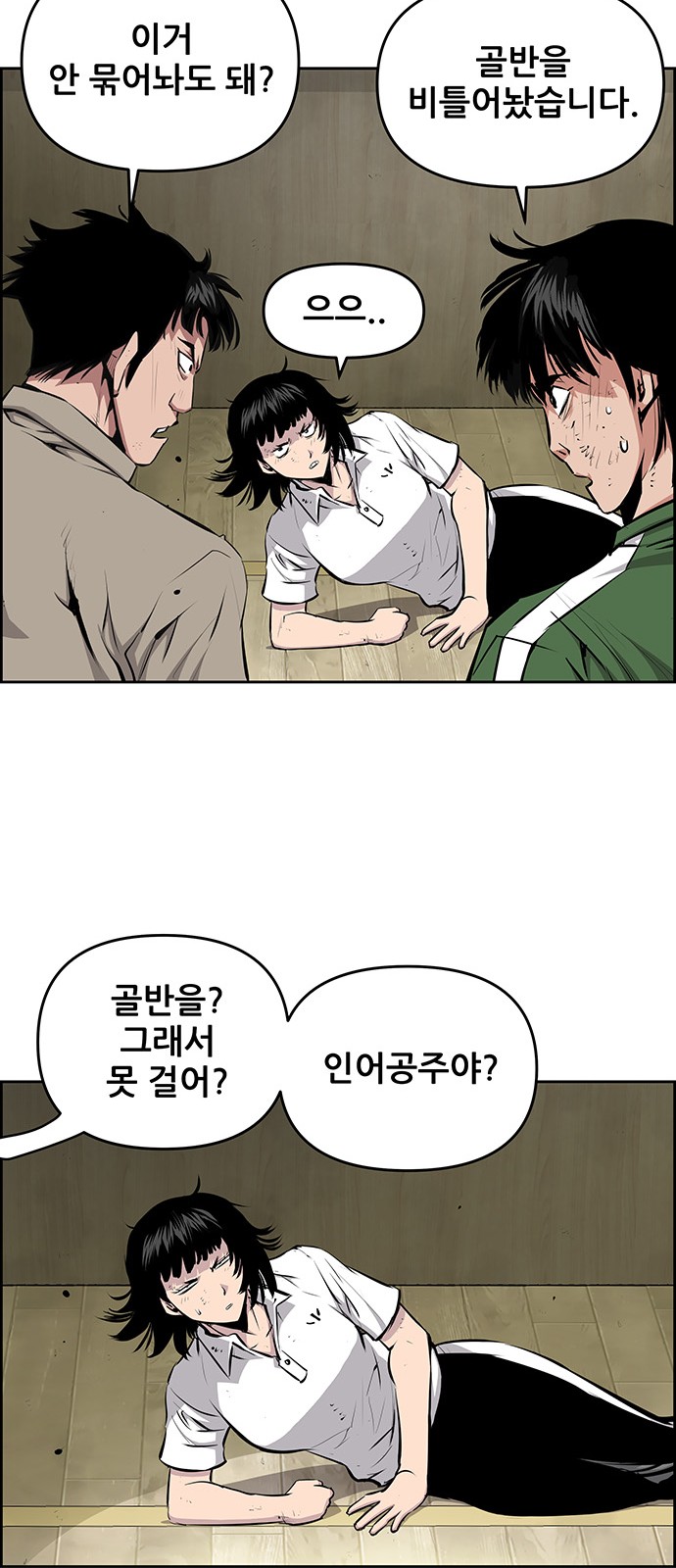 48 페이지