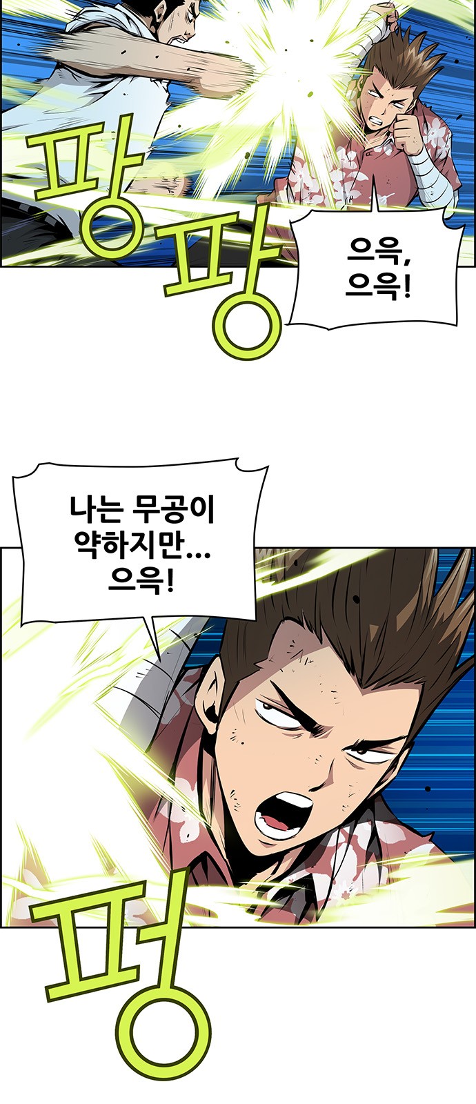 20 페이지