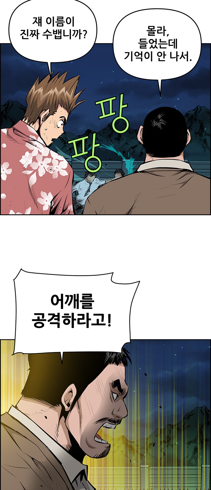 40 페이지