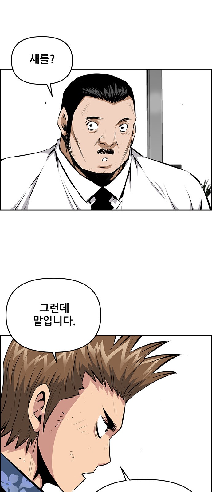 16 페이지
