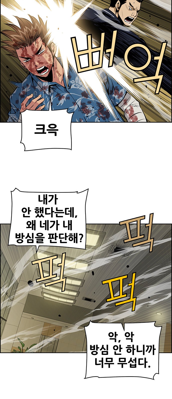 13 페이지