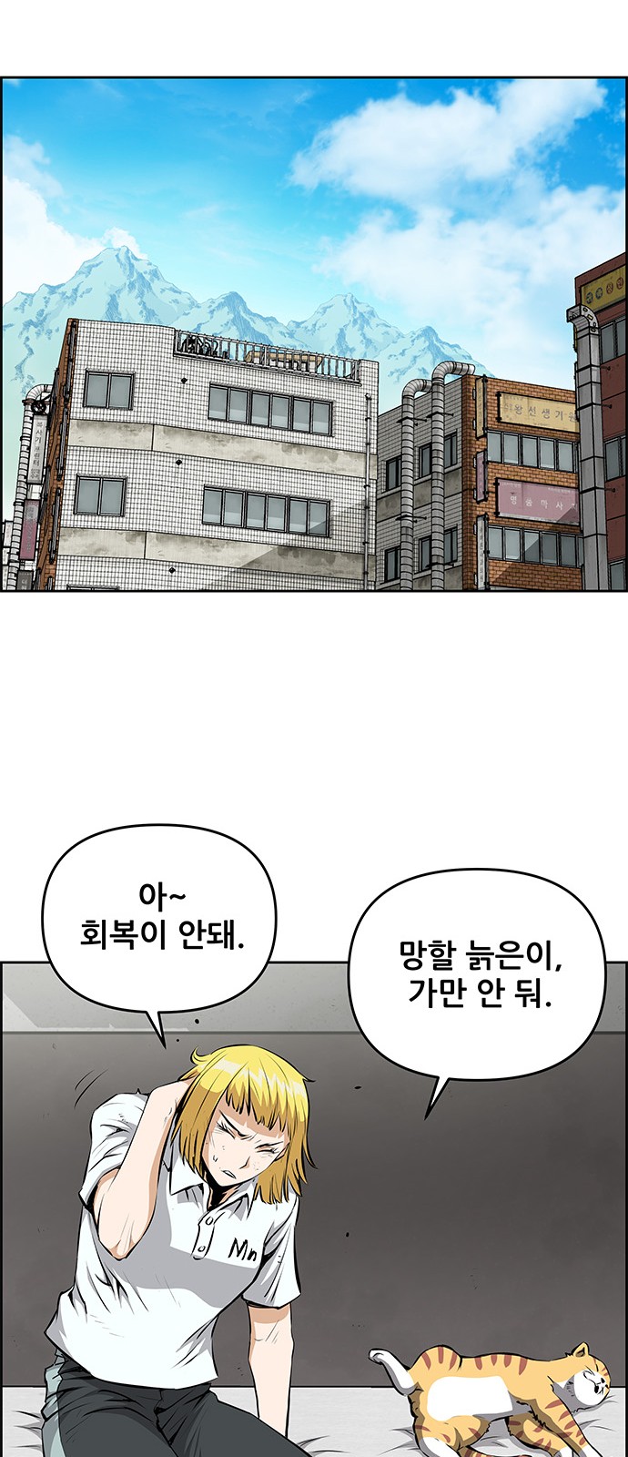 41 페이지