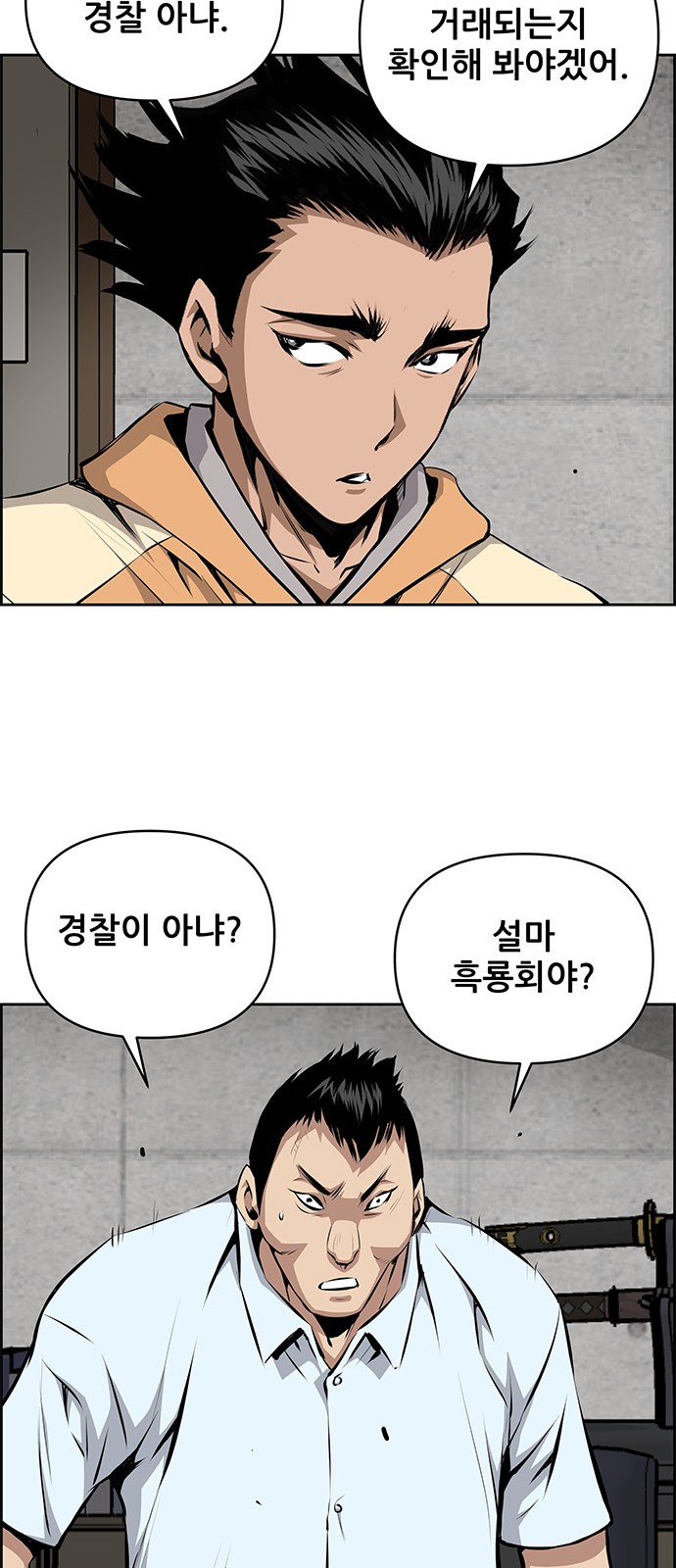 43 페이지