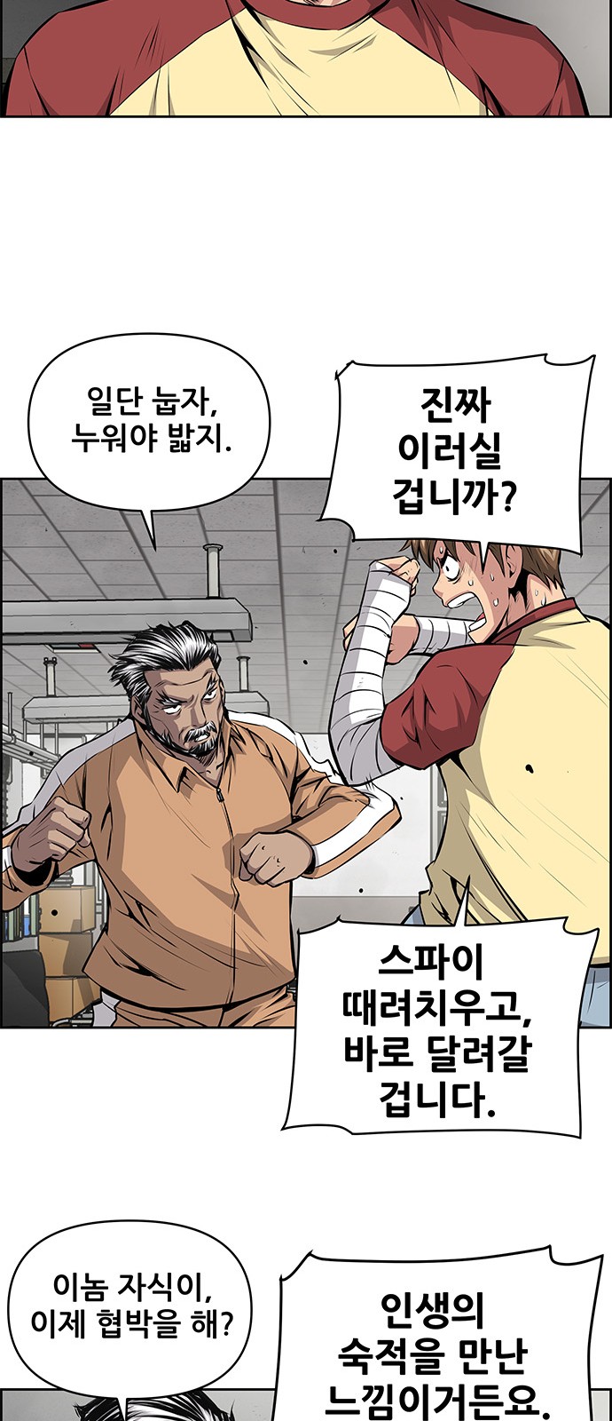 15 페이지