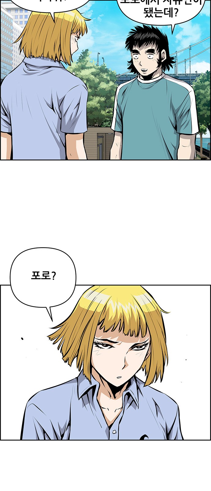 16 페이지