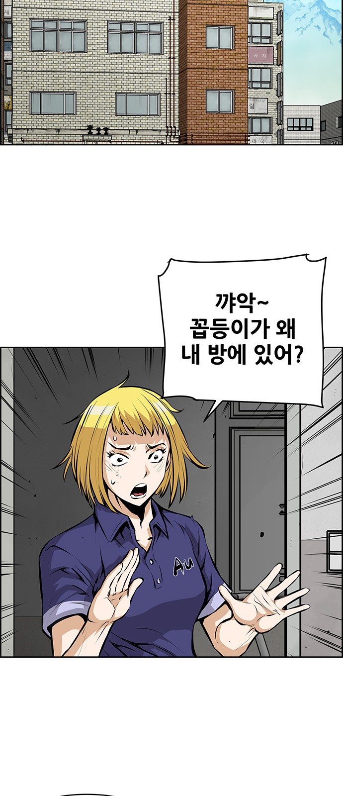 40 페이지