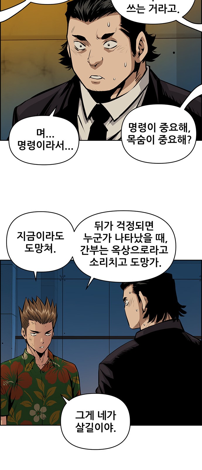 19 페이지