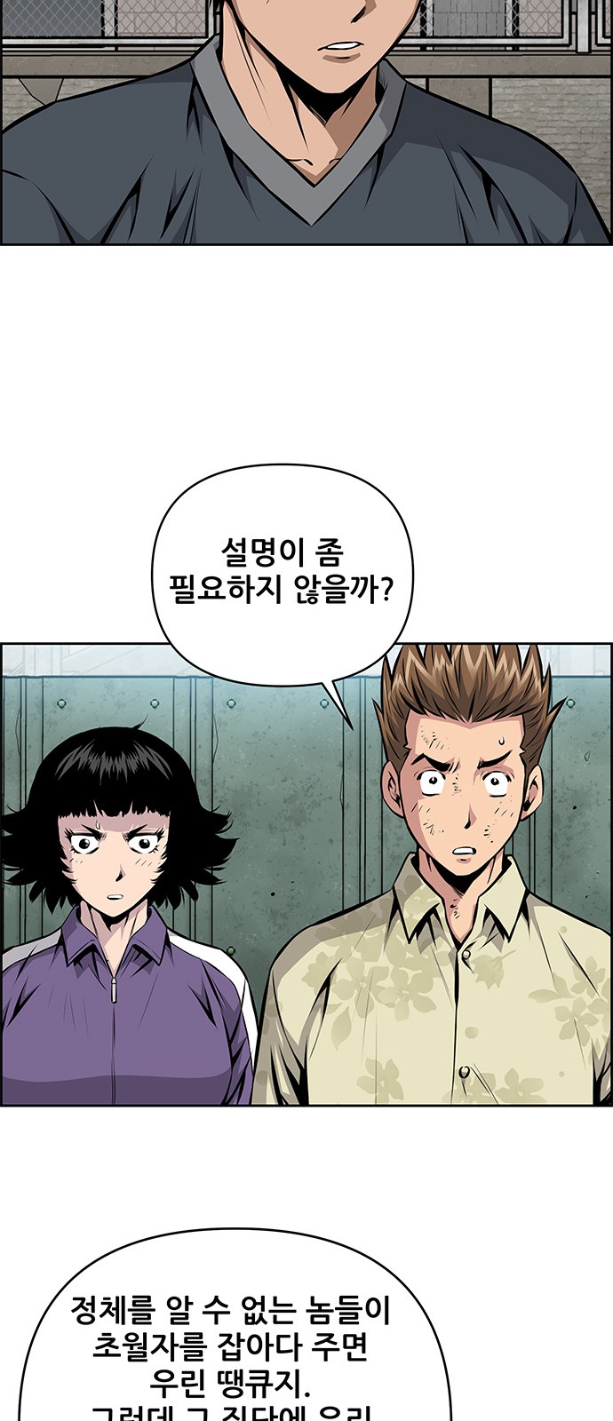46 페이지