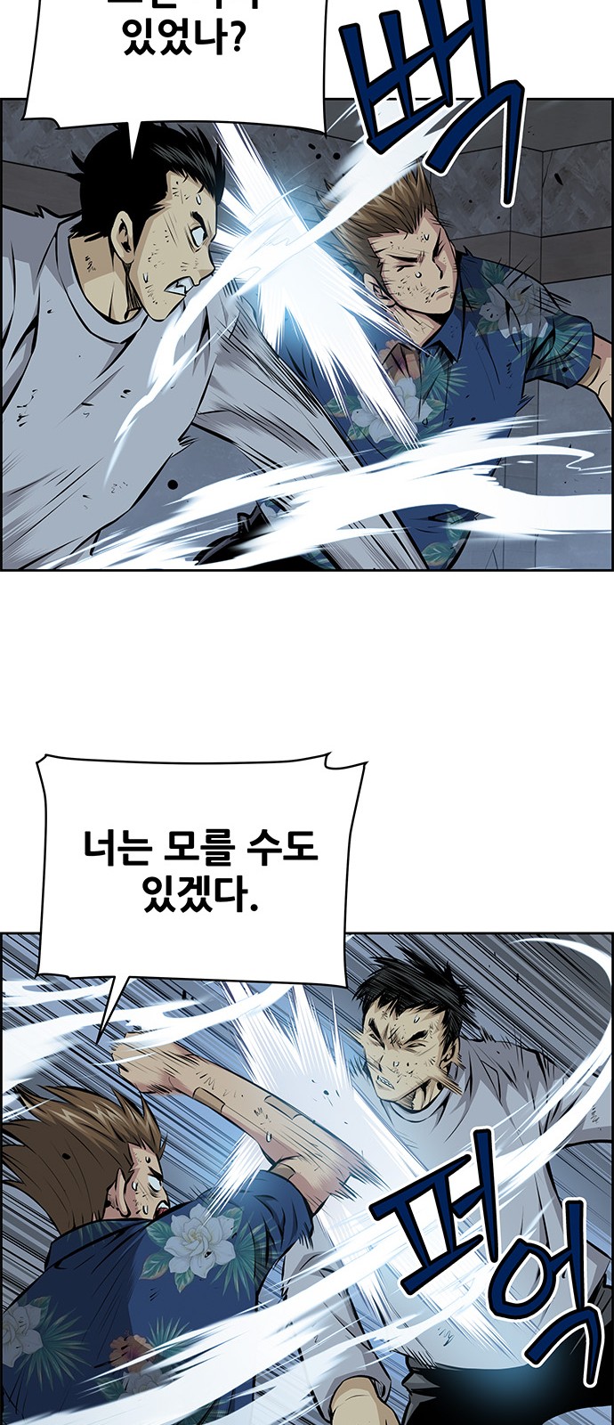 33 페이지