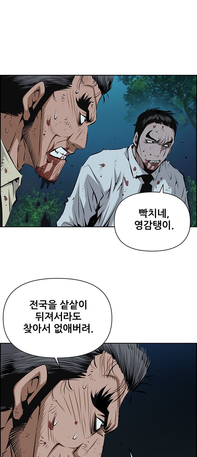 51 페이지